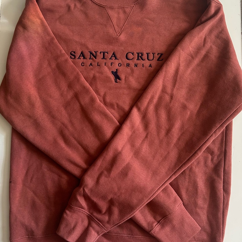 Santa Cruz Skateboards Men's Brick Crewneck Sweater